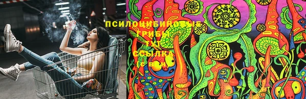 гидра Баксан